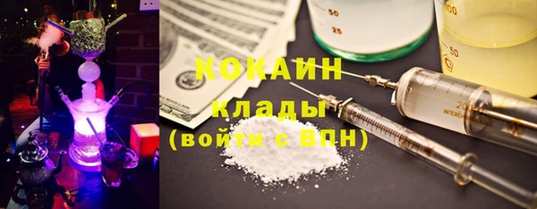 бошки Ладушкин