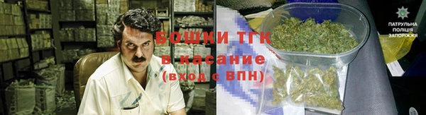 прущие грибы Лагань