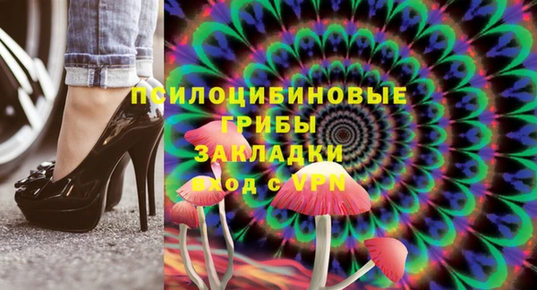 бошки Ладушкин