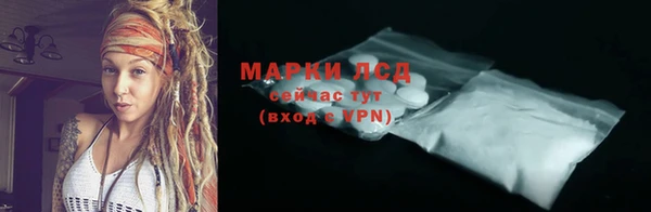 прущие грибы Лагань