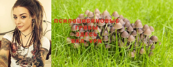 бошки Ладушкин
