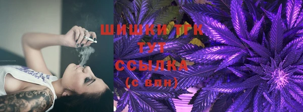 прущие грибы Лагань