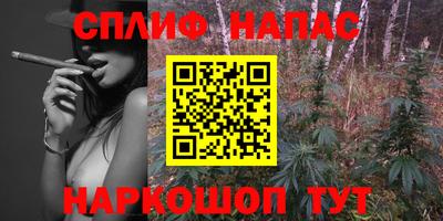гашик Жуковский