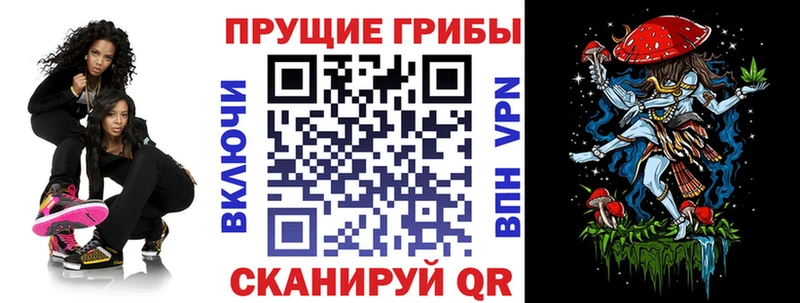 Галлюциногенные грибы мицелий  купить наркотики сайты  Нарткала 